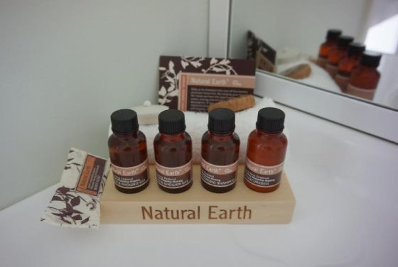 One-Bedroom Apartment with Spa - toiletries